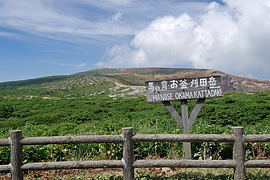 正面が馬の背方向